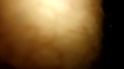 horsecock9748 online show from March 6, 6:59 pm