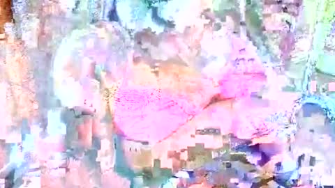 Snapshot of hot_baby_priya chatting on October 12, 4:50 pm hot_baby_priya online show from October 12, 4:50 pm