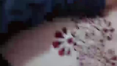 Hotcapolx online show from November 23, 4:51 pm