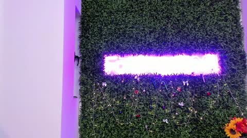 hotfallingdevil online show from December 21, 7:15 am