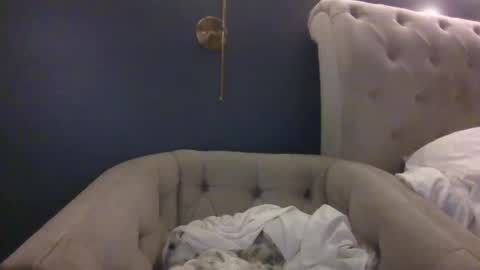 hothousewife333 online show from September 20, 3:07 am