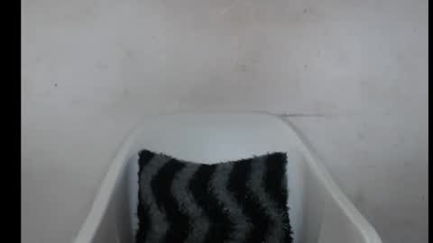 hotjessie0 online show from October 3, 9:06 am