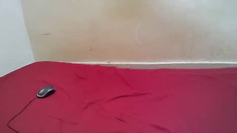 Snapshot of hotpussy1225 chatting on October 27, 11:25 am hotpussy1225 online show from October 27, 11:25 am