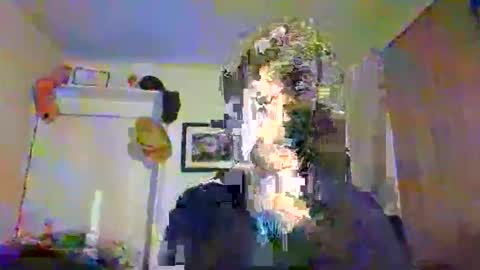 Marco Polo online show from November 10, 12:31 am