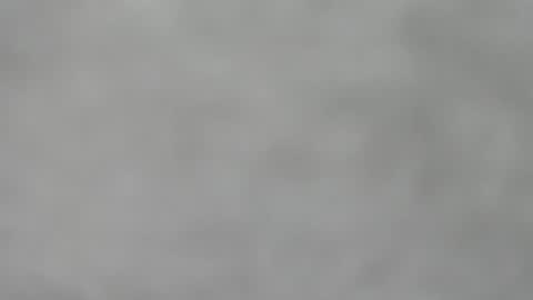 Slutty little female cat online show from November 16, 4:40 am