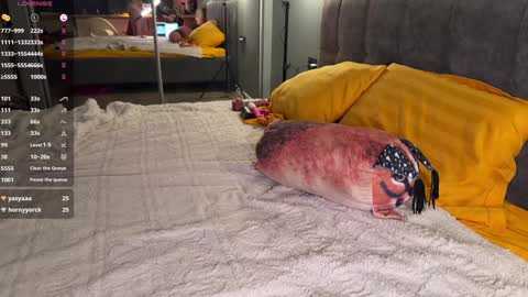 Snapshot of howtoreachorgasm chatting on December 23, 4:33 am Elizabeth online show from December 23, 4:33 am