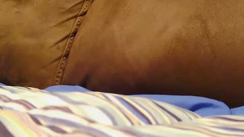 BigFTMdick online show from December 9, 6:01 am