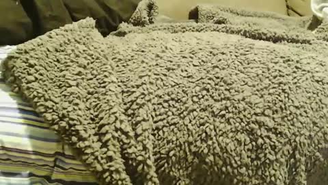 BigFTMdick online show from December 22, 7:11 am