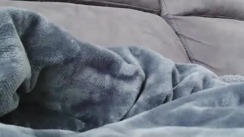 BigFTMdick online show from December 24, 10:28 pm