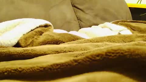 BigFTMdick online show from December 30, 7:15 am