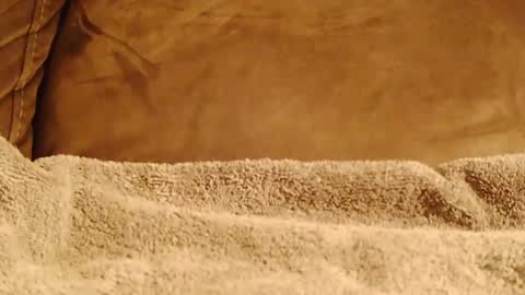 BigFTMdick online show from January 8, 6:41 am