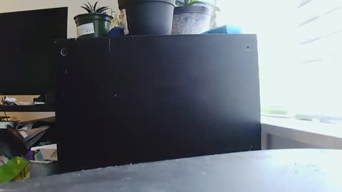 BigFTMdick online show from January 11, 11:13 pm