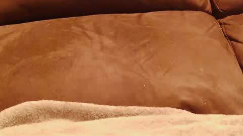 BigFTMdick online show from January 13, 5:12 am