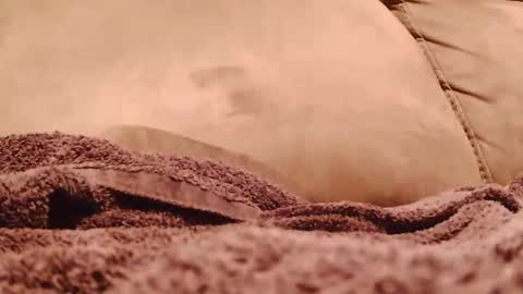 BigFTMdick online show from January 19, 5:37 am