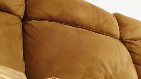 BigFTMdick online show from January 30, 4:06 am