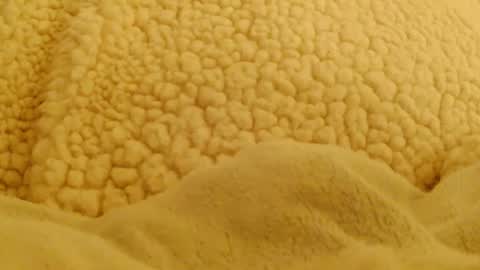 BigFTMdick online show from February 4, 5:53 am