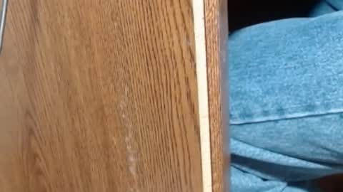 hungsofine online show from January 8, 6:52 pm