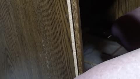 hungsofine online show from February 7, 9:58 pm