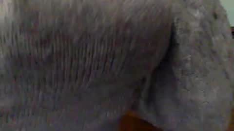 Snapshot of hunyybunz chatting on March 1, 10:10 pm Goddess Hunyy online show from March 1, 10:10 pm