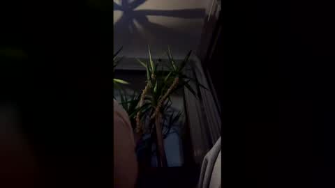 hypervenom369888 online show from March 7, 2:08 am