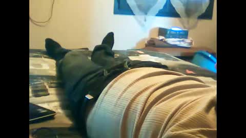 Snapshot of iagreeto chatting on February 3, 1:30 pm iagreeto online show from February 3, 1:30 pm