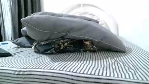 iam_mistress_dominatrix online show from April 18, 3:54 am