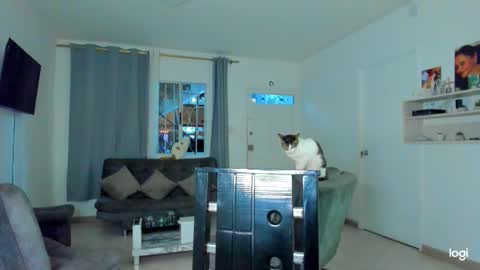 Snapshot of iam_your_fantasy chatting on December 4, 12:09 am iam_your_fantasy online show from December 4, 12:09 am