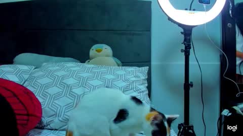 Snapshot of iam_your_fantasy chatting on January 12, 1:11 am iam_your_fantasy online show from January 12, 1:11 am