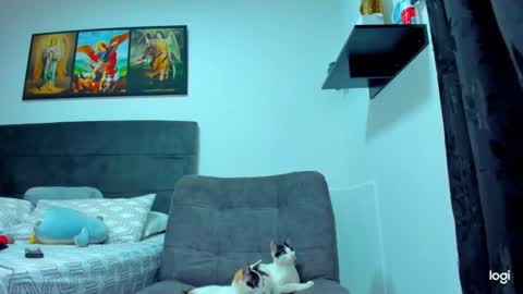 Snapshot of iam_your_fantasy chatting on February 1, 9:13 pm iam_your_fantasy online show from February 1, 9:13 pm