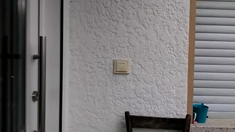 Snapshot of icheinfachich13 chatting on October 21, 8:26 am icheinfachich13 online show from October 21, 8:26 am