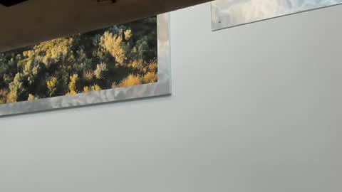 idfunguy2023 online show from January 10, 8:15 pm