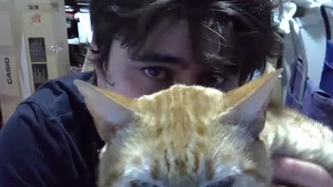 Snapshot of idkwhattowatch chatting on December 24, 12:33 am idkwhattowatch online show from December 24, 12:33 am