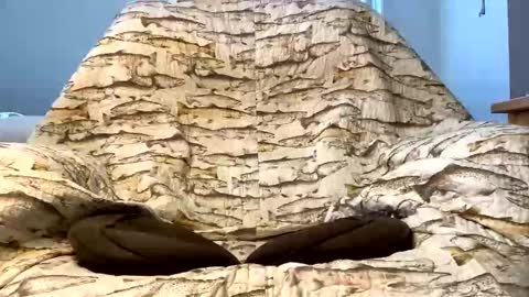 Snapshot of imaginaryvoyage chatting on December 16, 4:23 pm thanks for visiting online show from December 16, 4:23 pm