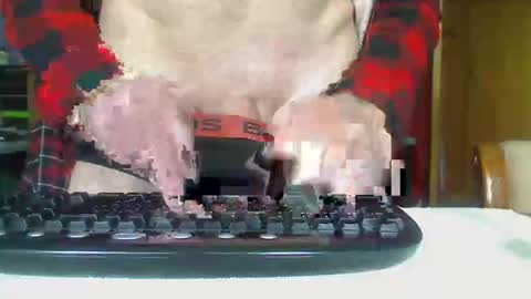 Snapshot of imaussiechris chatting on October 21, 12:33 am Aussie Guy online show from October 21, 12:33 am