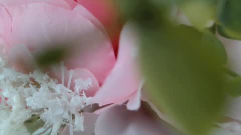 Carrie online show from February 22, 5:24 pm