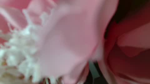 Carrie online show from February 25, 5:25 pm