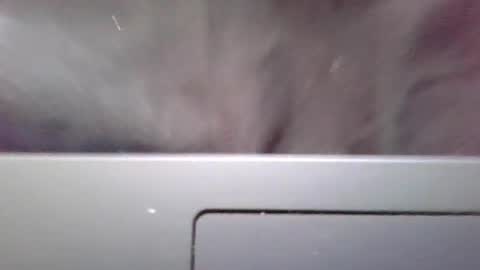 Snapshot of imstillstrokin chatting on October 22, 7:35 pm imstillstrokin online show from October 22, 7:35 pm