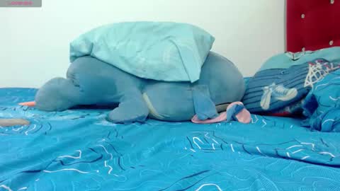 Indian online show from November 20, 3:56 pm