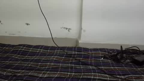 jully online show from February 10, 5:50 pm