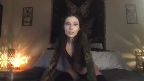 Indigo Bay online show from February 8, 12:06 am