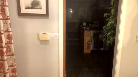 inkpiggy online show from February 20, 12:51 am