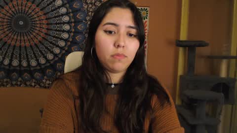 Africa online show from December 6, 12:34 am