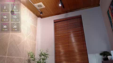 Iron Tous online show from January 15, 8:12 pm