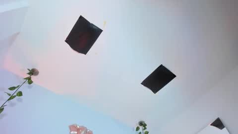   online show from November 12, 8:41 pm