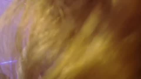 Snapshot of isabella_rross chatting on November 6, 1:56 pm Isabella Rros online show from November 6, 1:56 pm