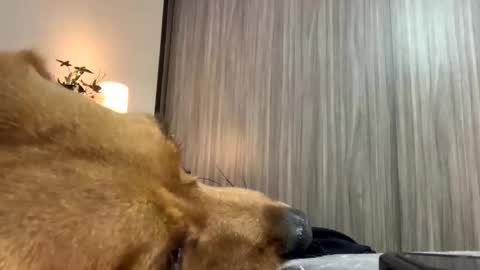 Snapshot of isabelprietoo chatting on October 7, 1:47 am Isa online show from October 7, 1:47 am