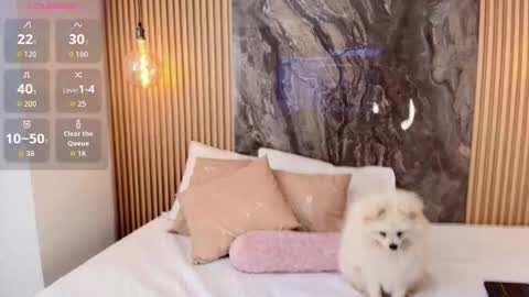 ISADORA online show from October 13, 2:28 pm