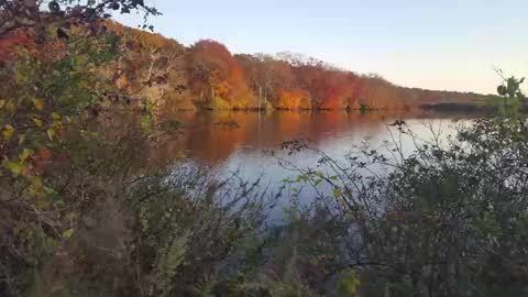 Snapshot of islandguy70 chatting on February 23, 7:33 am Jim online show from February 23, 7:33 am