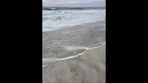 Snapshot of islandguy70 chatting on March 2, 6:19 pm Jim online show from March 2, 6:19 pm