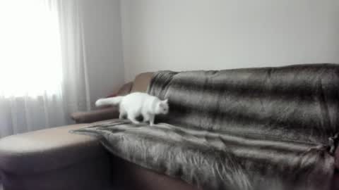 Issabelle online show from February 9, 7:16 am